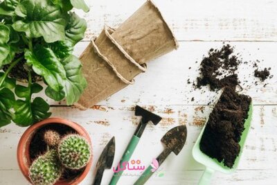 خاک کاکتوس و ساکولنت بهکام حجم 2 لیتری