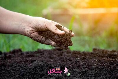 خاک برگ مدل بهکام حجم 4 لیتری