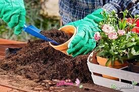 خاک پیت ماس مدل بهکام حجم 3 لیتری