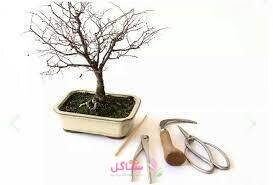 خاک بن سای مدل بهکام حجم 3 لیتری