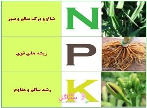 سوپر کود بهبود سبرزینگی فرمول یک مدل 30.10.10:NPK وزن 50 گرم