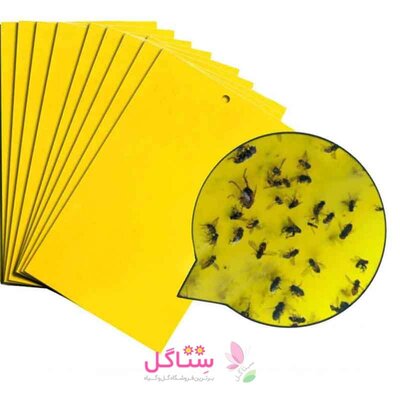 چسب حشره کش ، کارت زرد مخصوص پشه و حشرات موذی