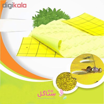 چسب حشره کش ، کارت زرد مخصوص پشه و حشرات موذی