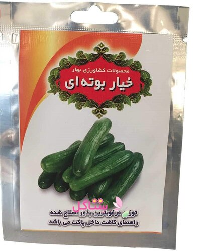 بذر صیفی جات خیار بوته ای بهارک