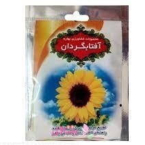 بذر گل آفتابگردان بهارک