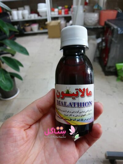 آفت کش مالاتیون شربتی حجم 120 میلی لیتر