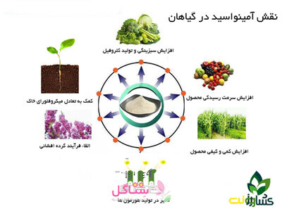 کود آمینو اسید (ضدتنش) فرمول یک 