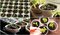 خاک بستر آماده کاشت ( خاک هلندی) مدل بهکام حجم 50 لیتری