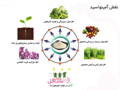 کود آمینو اسید پروتکت نیچر (ضدتنش)