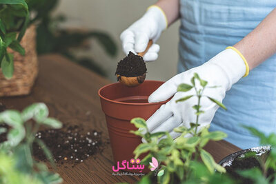 کود آمینو اسید پروتکت نیچر (ضدتنش)