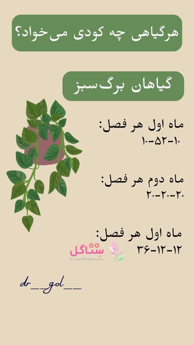 پک کود تقویتی مخصوص زاموفیلیا و سانسوریا فرمول یک سه عددی