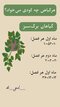 پک کود تقویتی مخصوص زاموفیلیا و سانسوریا فرمول یک سه عددی