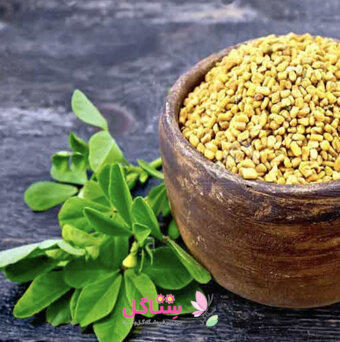 بذر سبزیجات شنبلیله برند بهارک