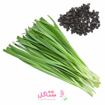 بذر سبزیجات تره برند بهارک