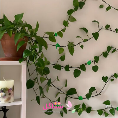 گیره نگهدارنده گل و گیاه